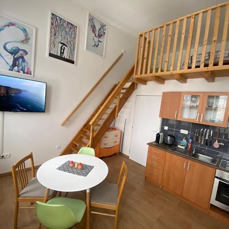 Apartman V Lesni 捷克贾布朗尼城 外观 照片