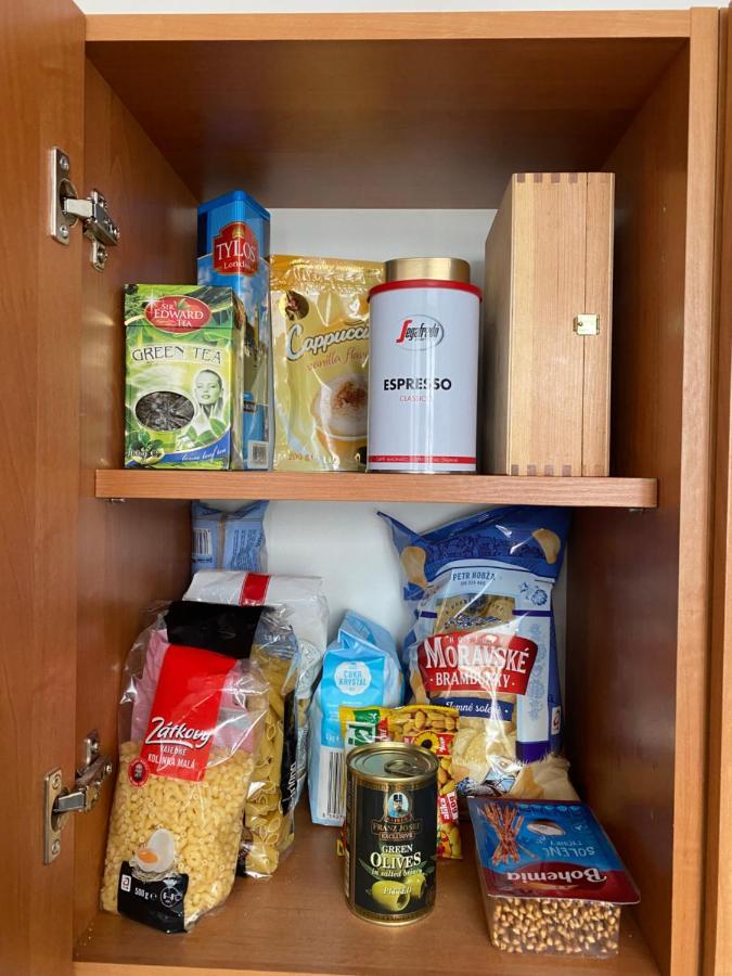 Apartman V Lesni 捷克贾布朗尼城 外观 照片
