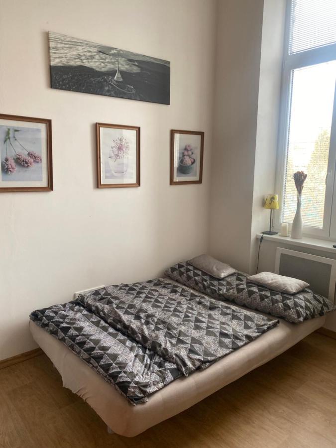 Apartman V Lesni 捷克贾布朗尼城 外观 照片